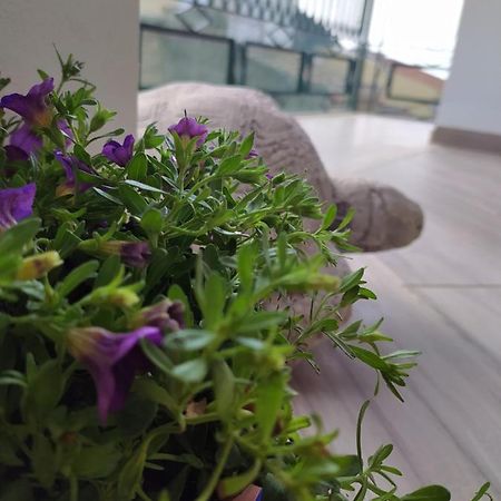 Appartamento Attico Gloria&Greta Castellammare del Golfo Esterno foto