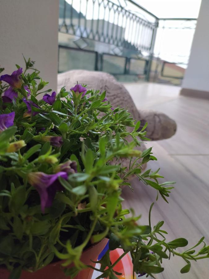 Appartamento Attico Gloria&Greta Castellammare del Golfo Esterno foto